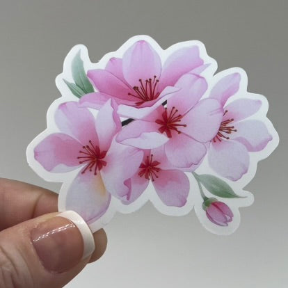 Pink cherry blossom sticker.