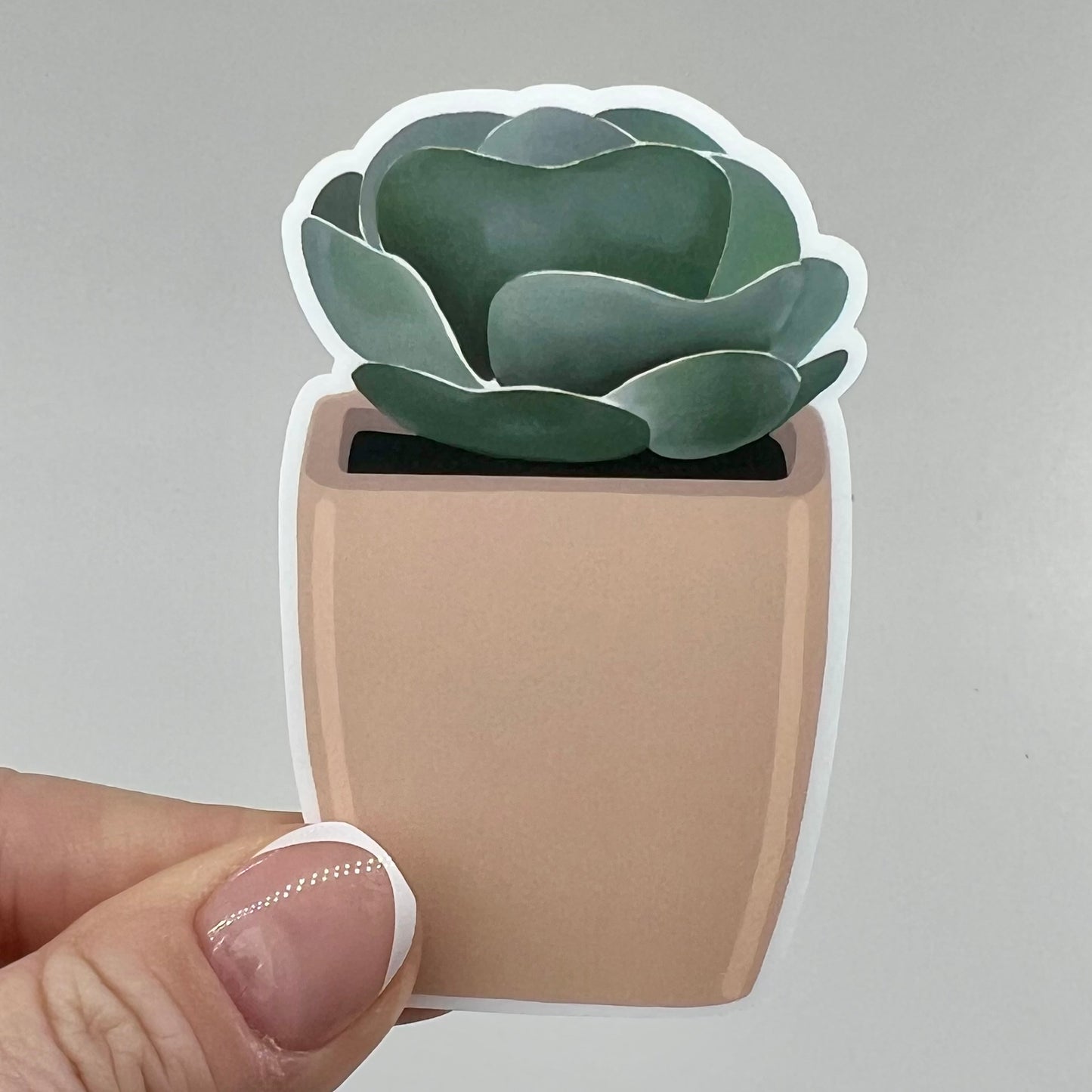 Vinyl Sticker; Potted Succulent, 3X1.8"