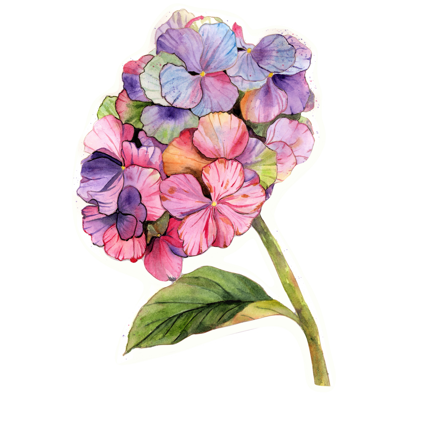 Vinyl Sticker; Watercolor Hydrangea, 3X2"