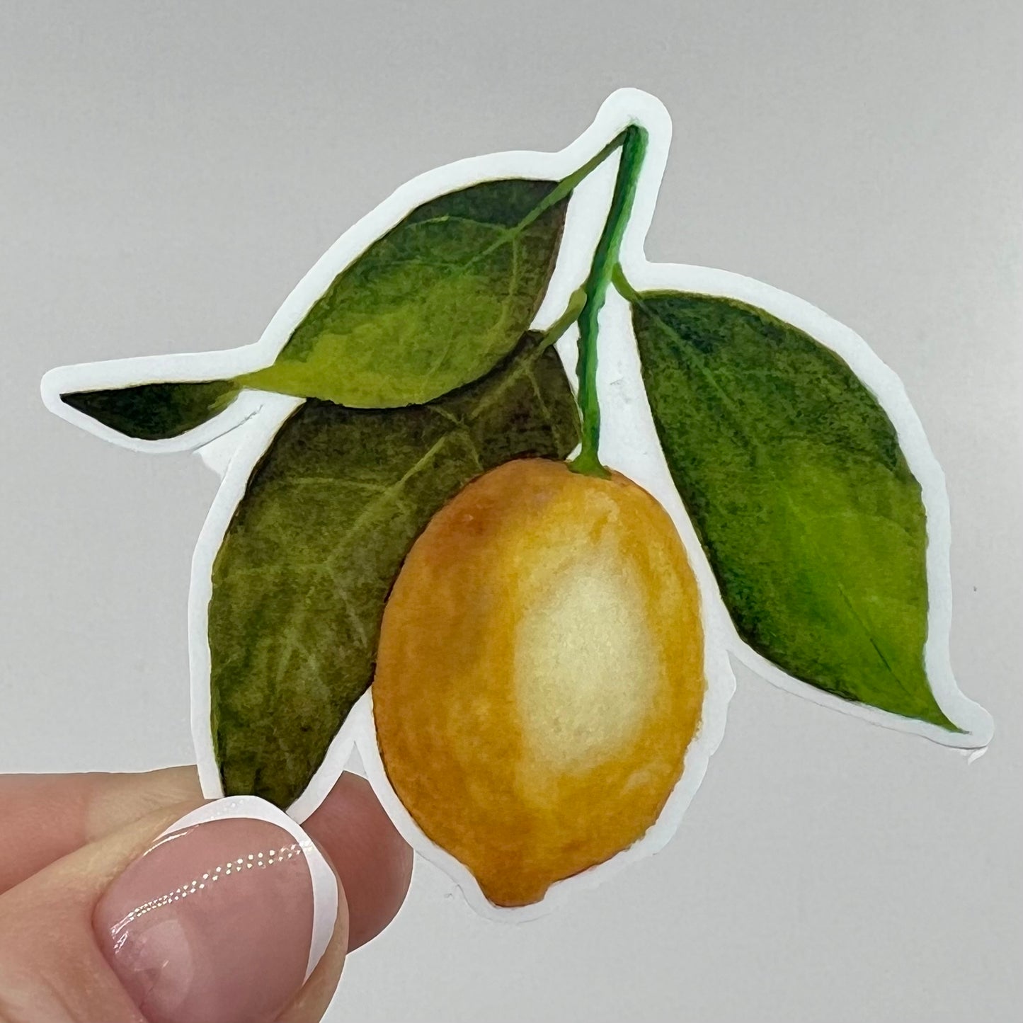 Vinyl Sticker; Yellow Watercolor Lemon, 3X2.5"
