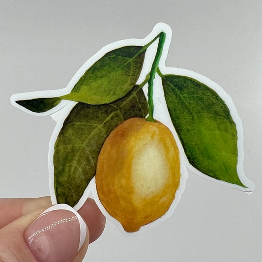 Vinyl Sticker; Yellow Watercolor Lemon, 3X2.5"