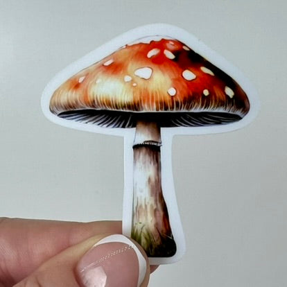 Vinyl Sticker; Red Topped Mushroom; 2.5X2.3"