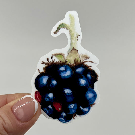 Vinyl Sticker; Watercolor Blackberry, 3X1.8"