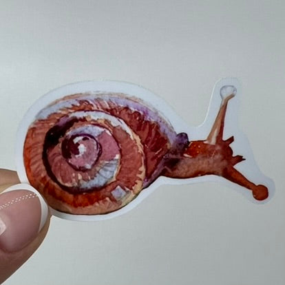 Vinyl Sticker; Watercolor Snail, 2.5X1.5"